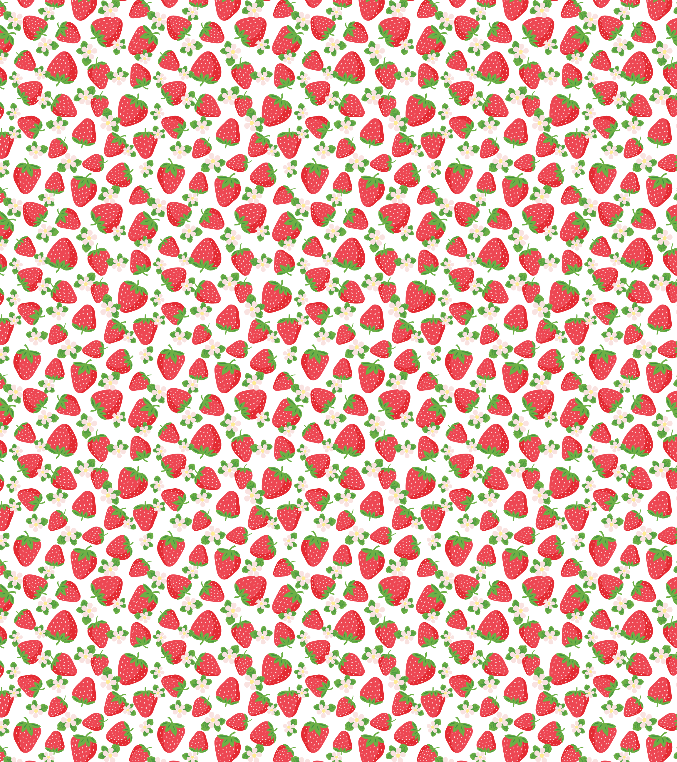 Strawberry Fields Baby Blanket